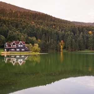 GÜNÜBİRLİK ABANT-GÖLCÜK TURU