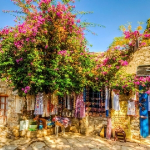 BADEM ÇİÇEĞİ FESTİVALİ