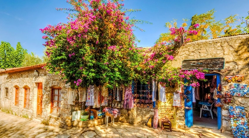 BADEM ÇİÇEĞİ FESTİVALİ