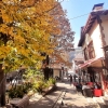 ANKARA BEYPAZARI MUDURNU GÖYNÜK